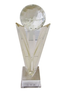 Champion award